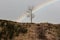 Landscape featuring a tree in the center of a rainbow arching over a rolling hill