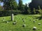 Landscape of Feldli Cemetery in Saint Gallen Landschaft des Friedhofs Feldli in Sankt Gallen, St. Gallen - Switzerland Schweiz
