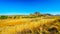 Landscape with the fertile farmlands along highway R26, in the Free State province of South Africa