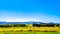 Landscape with the fertile farmlands along highway R26, in the Free State province of South Africa