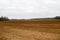 Landscape field, brown earth with beds, furrows for plowing, sowing grain on a background of forest