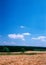 Landscape with field cereal grower and  the wood