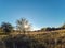 Landscape field fence setting sun summer