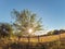 Landscape field fence setting sun summer