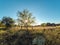 Landscape field fence setting sun summer