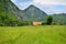 Landscape with field of flowers, trail and mountains to the Huda lui Papara cave, Romania