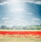 Landscape with field of poppies blooming , countryside in the background and beautiful sky. Outdoor nature