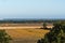 Landscape with a field ripe pumpkins ready for harvest