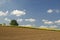 Landscape with field in spring, Lower Saxony