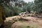 Landscape of Filitosa megalithic site. Corsica