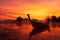 Landscape of fishing boats moored while the tide lowers