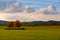 Landscape in Flanders Fields, Belgium