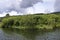 Landscape with floating island, part peat two metre deep with vegetation and animals in Vlasina mountain lake, anchored shore