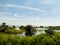 Landscape of flooded marshes and bright blue skies