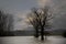 Landscape with flooded river Maas in Bergen - Noord Limburg, the Netherlands