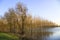 Landscape with flooded trees under rising waters