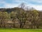 Landscape with flowering tree on the hills of Transylvania