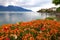 Landscape with flowers and Lake Geneva, Montreux, Switzerland.