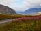 Landscape with flowers surrounded by high mountains