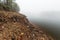 Landscape with fog from the edge of a swamp near Penha Garcia. Portugal