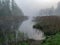 Landscape with fog in the morning, mystical fog on the river, blurred grass and tree contours