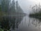 Landscape with fog in the morning, mystical fog on the river, blurred grass and tree contours