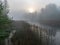 Landscape with fog in the morning, mystical fog on the river, blurred grass and tree contours