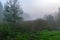 Landscape with fog in the morning, mystical fog on the river, blurred grass and tree contours