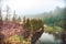 Landscape with fog with rich vegetation and river. On the left shrubs trees of Rhus Sumac