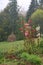 Landscape, foggy morning in the Carpathian forest, in the foreground blooming mallows, haystack in the distance