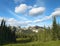 Landscape with forest in British Columbia. Mount Revelstoke. Can