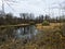 Landscape of forest marshes and dry trees in rainy weather