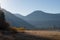 Landscape forest and mountains