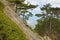 Landscape at a forest path on a steep slope