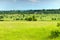 Landscape of forest-steppe