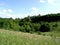 Landscape of forest-steppe