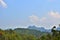 Landscape of Forest and Trees with Hills, Plants, Sky and Clouds