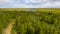 Landscape of the forest-tundra and the sandy river bank, bird`s eye view.Arctic Circle, tunda. Beautiful landscape of  tundra fro