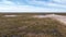 Landscape of the forest-tundra and the sandy river bank, photo from quadrocopter, bird`s eye view. Arctic Circle,  Yamal,