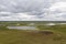 Landscape of the forest-tundra and the sandy river bank, photo from quadrocopter, bird`s eye view. Arctic Circle,  Yamal,   reind