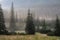 Landscape forested mountain slope in low lying cloud with the evergreen conifers, shrouded in mist.Tatra National Park.