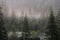 Landscape forested mountain slope in low lying cloud with the evergreen conifers, shrouded in mist.Tatra National Park.