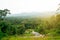 Landscape ,in the forrest , Morning fog ,  mountain curve road in the forest