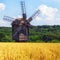 Landscape frame old windmill with a Wheat Crop field harvest village