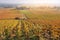 Landscape of France, the Burgundy region: autumn vineyard