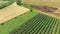 Landscape with fruit orchards, wheat fields, aerial video