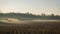 Landscape with fuzzy fog early in the morning, foreground blurred, plowed field texture, summer