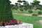 Landscape garden with trimmed pine trees and stone wall