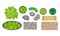 Landscape Gardening Elements with Bushes and Wooden Bench Top View Vector Set