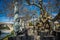 Landscape with giant tree near medieval bridge over river Arahthos in Arta, Greece